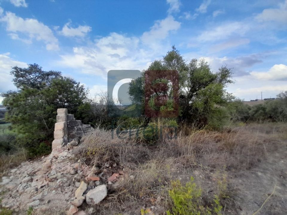Villa i Sao Vicente do Paul, Santarem - bilde 3