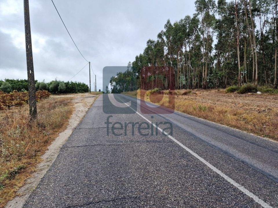 Helårsgrund i Almeirim, Santarem - foto 1