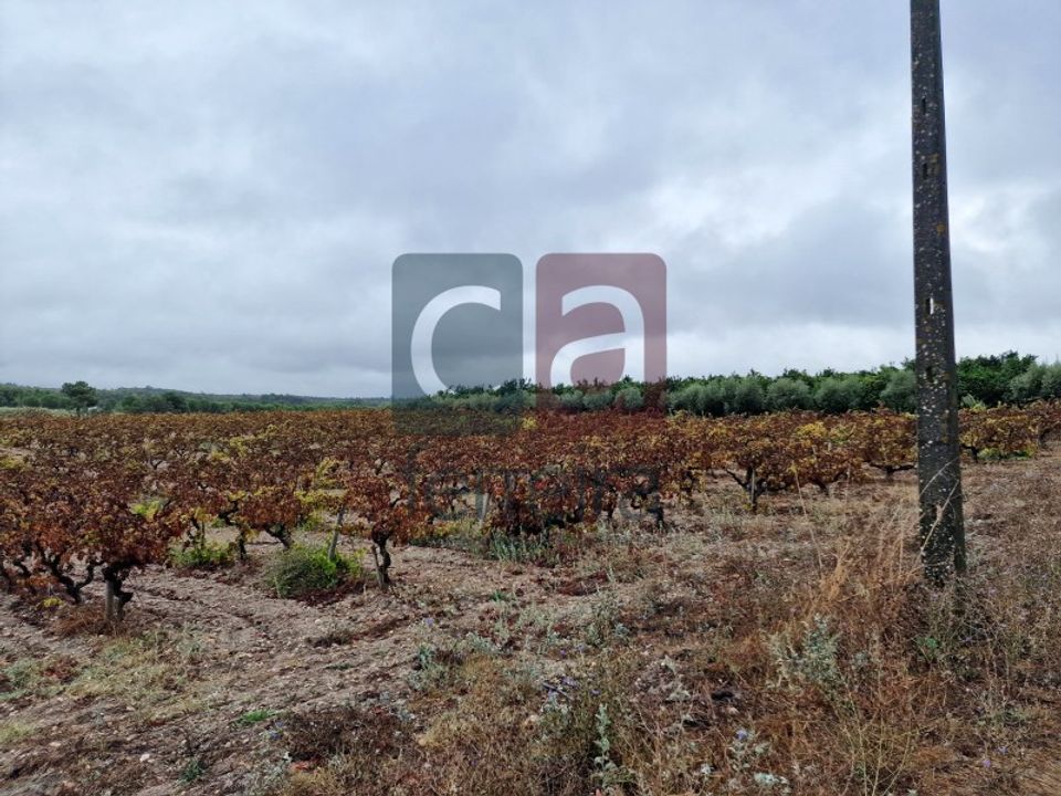 Helårsgrund i Almeirim, Santarem - foto 2