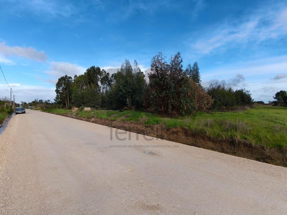 Helårsgrund i Almeirim, Santarem - foto 1