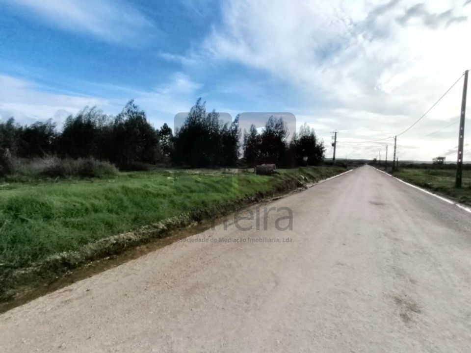 Helårsgrund i Almeirim, Santarem - foto 2