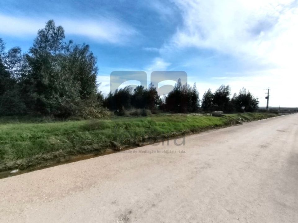Helårsgrund i Almeirim, Santarem - foto 4