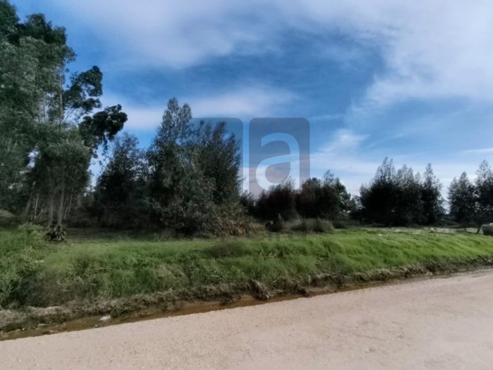 Helårsgrund i Almeirim, Santarem - foto 5