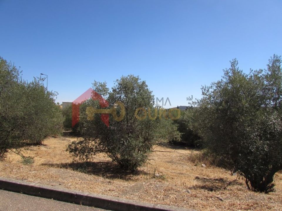 Helårsgrund i Elvas, Portalegre - foto 2