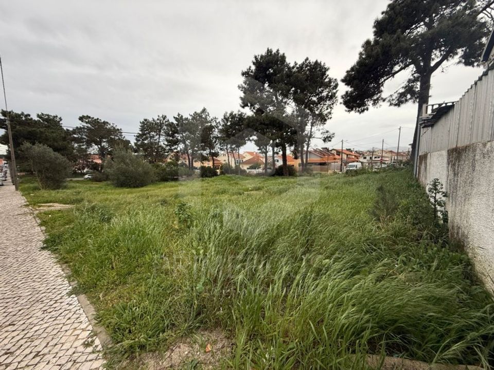 Helårsgrund i Quinta do Conde, Setubal - foto 1
