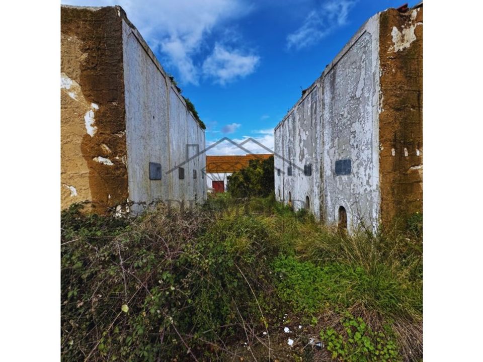 Terreno en Alpiarca, Santarem - foto 3