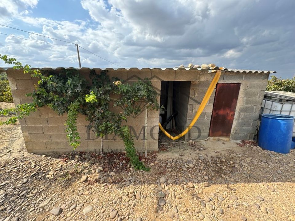 Terreno en Alpiarca, Santarem - foto 4
