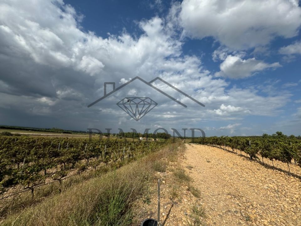 Terreno en Alpiarca, Santarem - foto 5