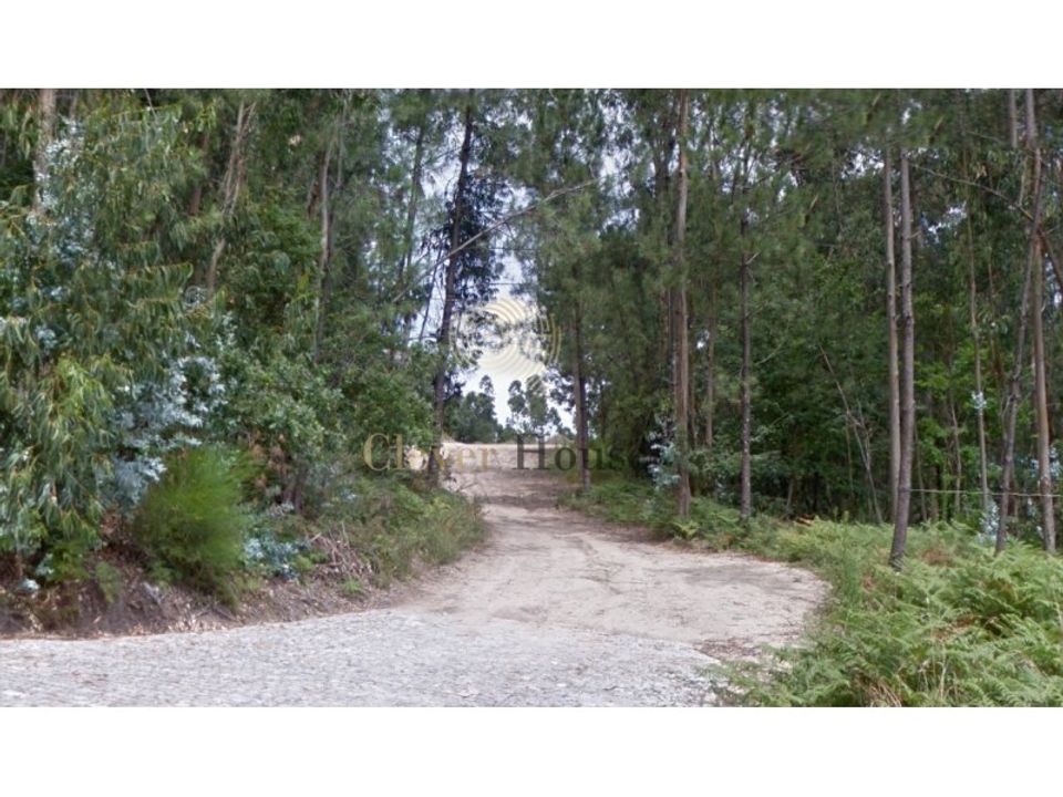 Tomt i Guimaraes, Braga - bilde 1
