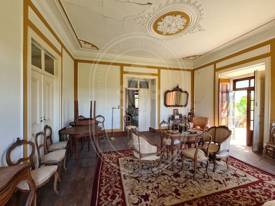 Villa - Ferreira do Zezere, Santarem - photo 3