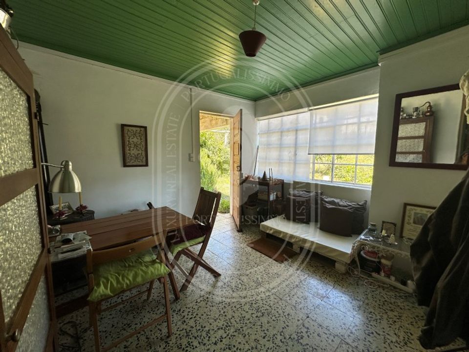 Landejendom i Vila de Rei, Castelo Branco - foto 3