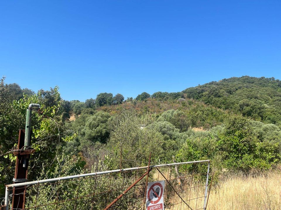 Terra a Monti, Sassari - foto 4