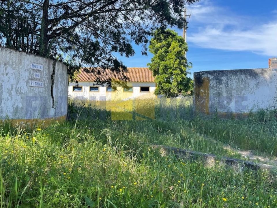 Casa de fazenda em Couco, Santarem - foto 2