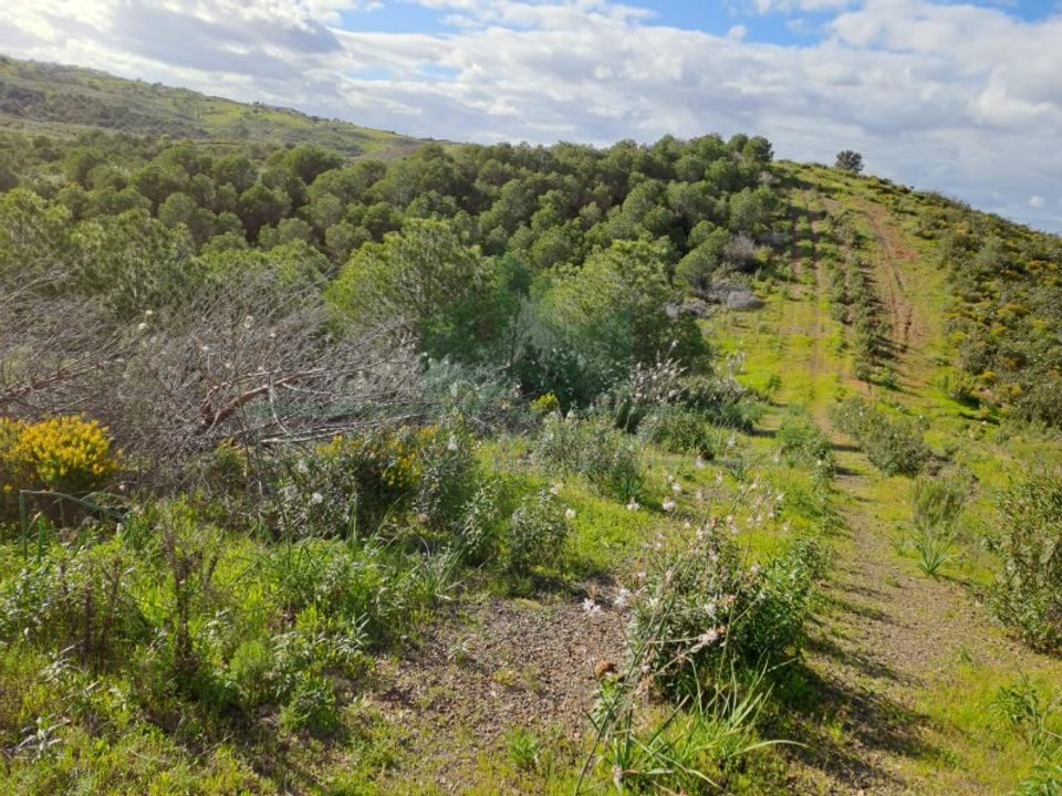 Helårsgrund i Castro Marim, Faro - foto 2