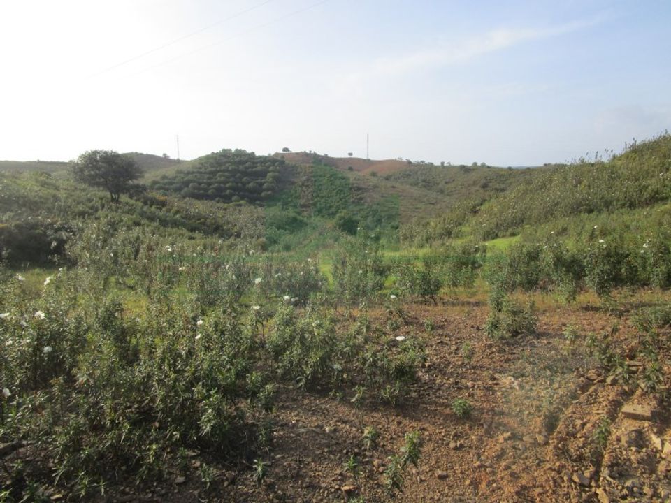 Helårsgrund i Castro Marim, Faro - foto 5