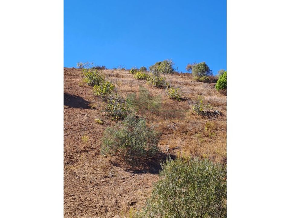 Helårsgrund i Castro Marim, Faro - foto 4