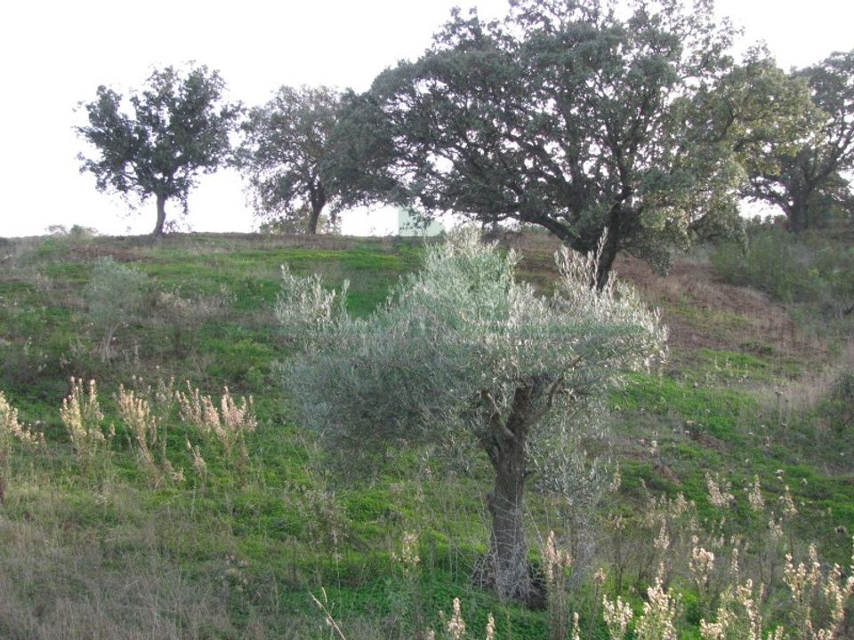 Helårsgrund i Castro Marim, Faro - foto 1