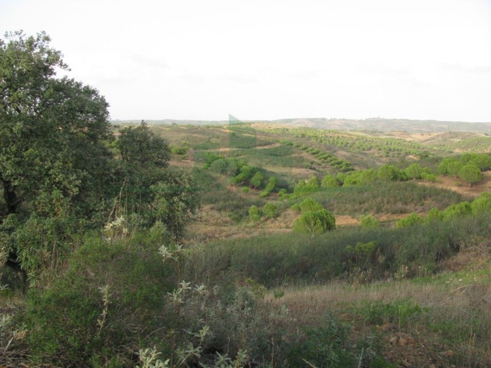 Helårsgrund i Castro Marim, Faro - foto 3