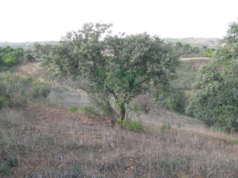 Helårsgrund i Castro Marim, Faro - foto 5