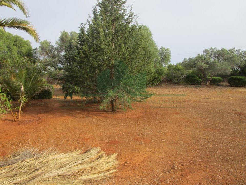 Villa i Tavira, Faro - foto 3