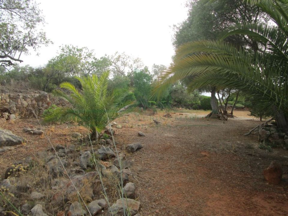 Villa i Tavira, Faro - foto 4
