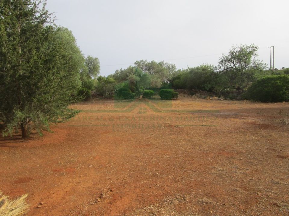 Villa i Tavira, Faro - foto 5
