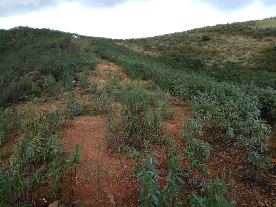 Helårsgrund i Castro Marim, Faro - foto 2