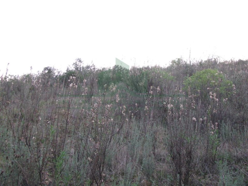 Helårsgrund i Castro Marim, Faro - foto 5
