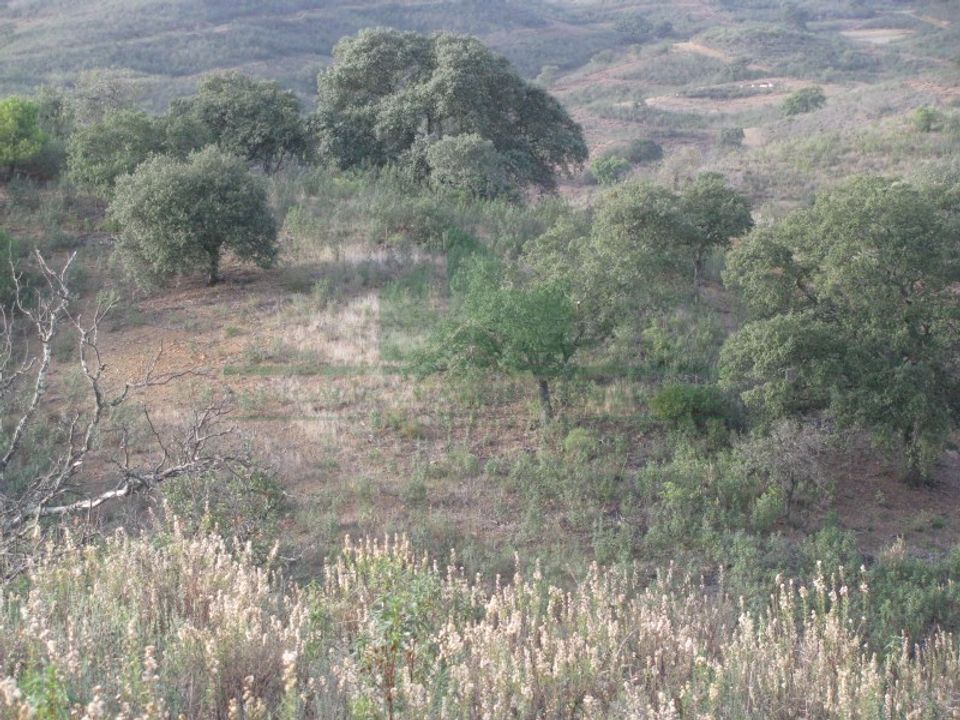 Helårsgrund i Castro Marim, Faro - foto 2