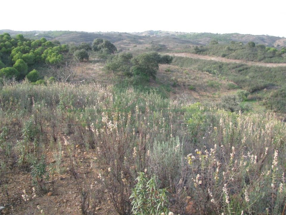 Helårsgrund i Castro Marim, Faro - foto 5