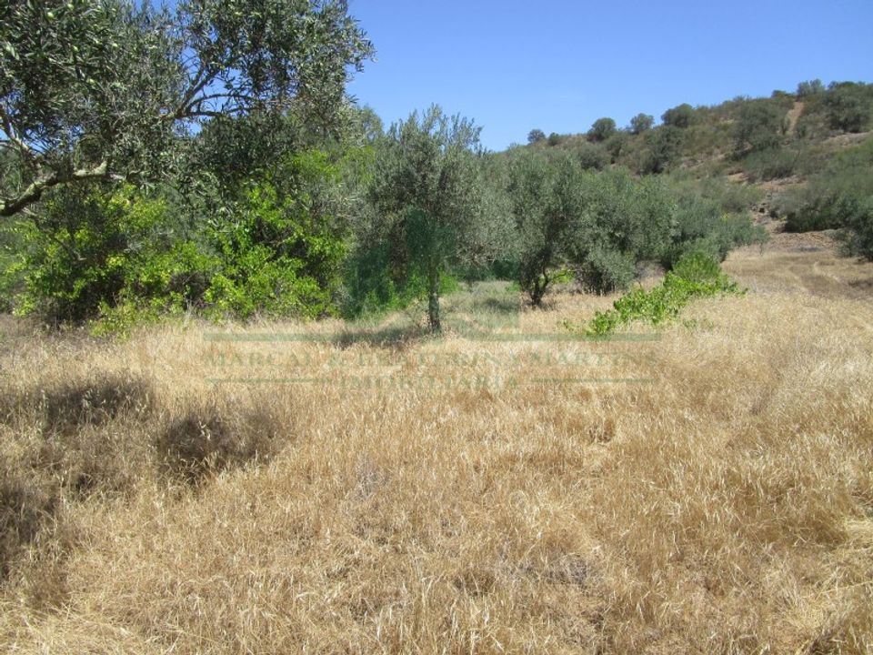 Helårsgrund i Castro Marim, Faro - foto 2