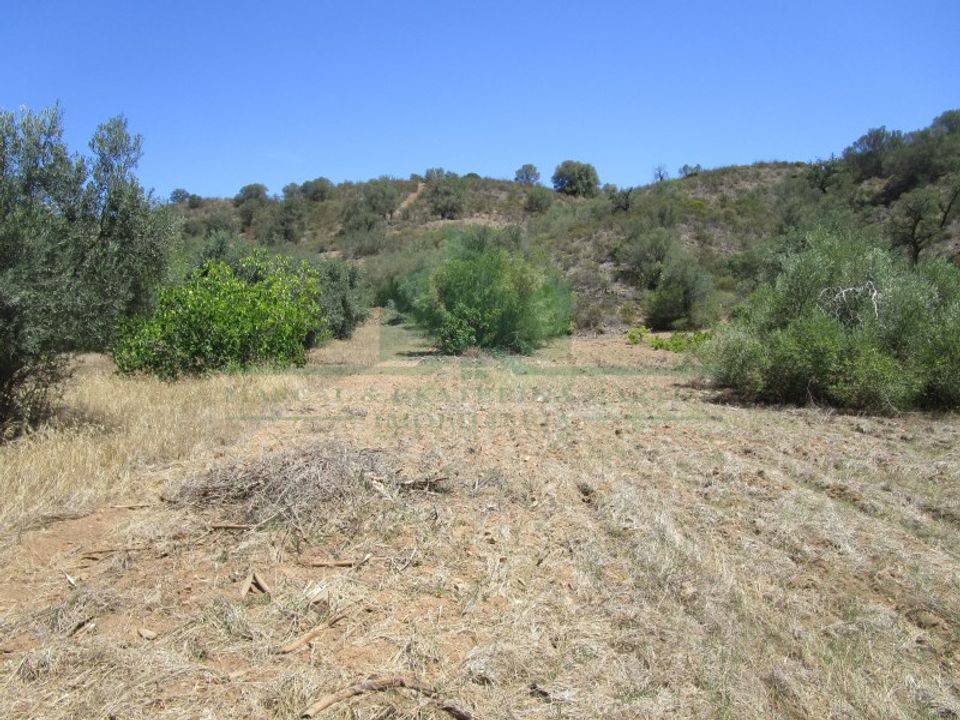 Helårsgrund i Castro Marim, Faro - foto 3