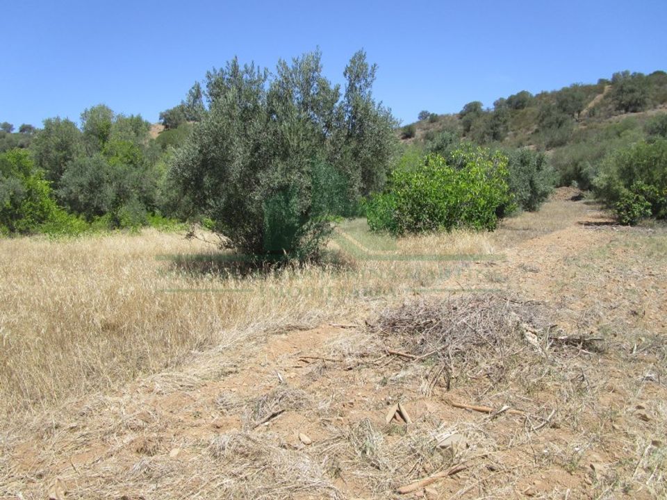 Helårsgrund i Castro Marim, Faro - foto 5