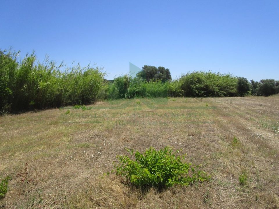 Helårsgrund i Castro Marim, Faro - foto 2