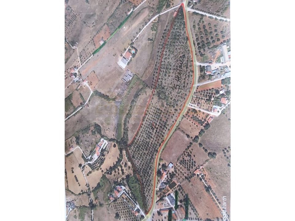 Granja a Cartaxo, Santarem - foto 1