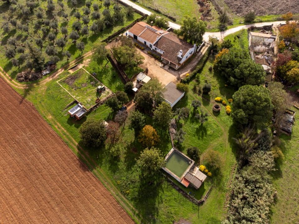 Gård i Borba, Evora - bilde 2