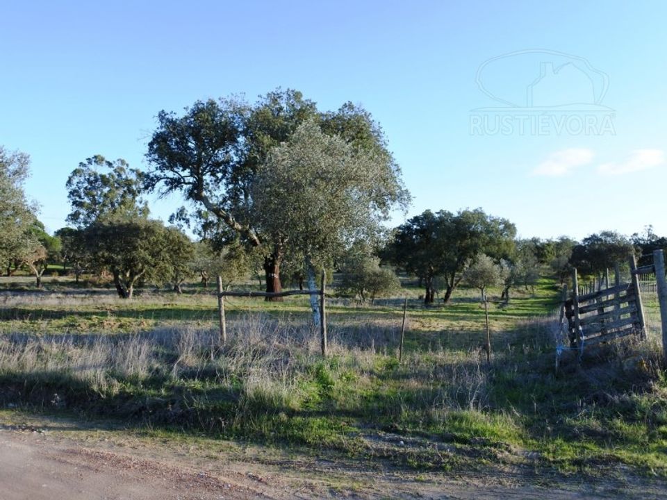 Helårsgrund i Montemor-o-Novo, Evora - foto 3