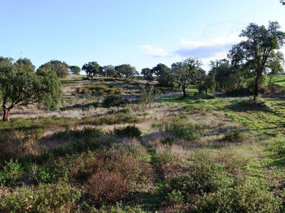 Helårsgrund i Montemor-o-Novo, Evora - foto 5