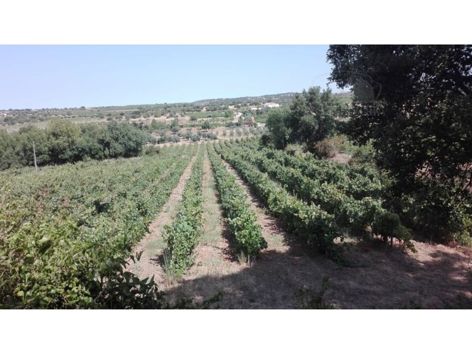 Helårsgrund i Vidigueira, Beja - foto 1