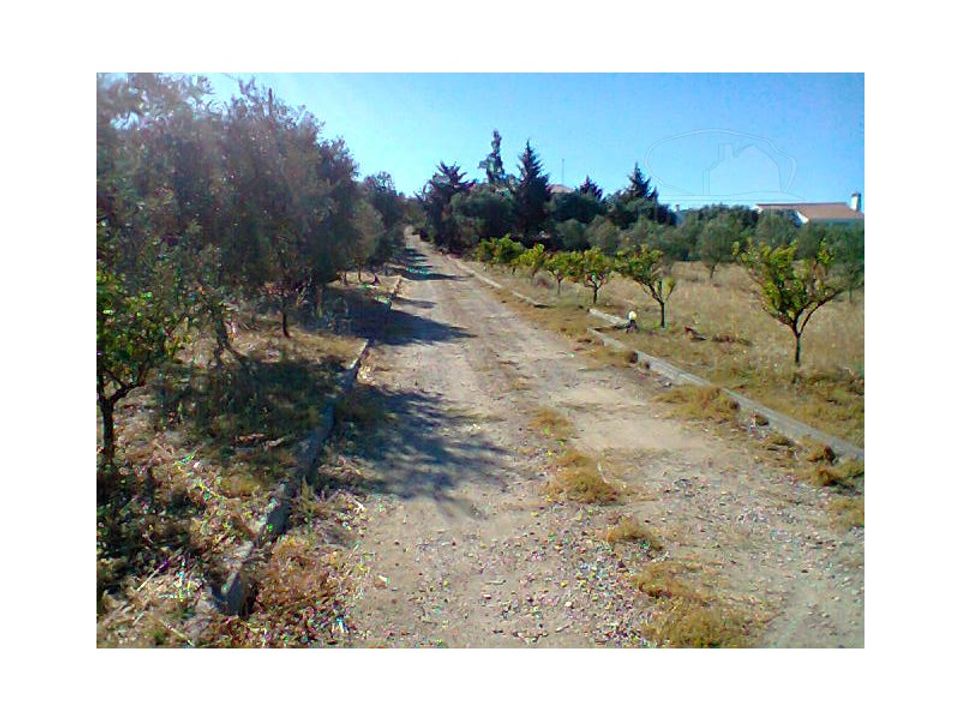 Farm i Redondo, Evora - foto 4