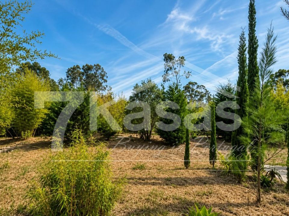 Farm i Bombarral, Leiria - foto 2