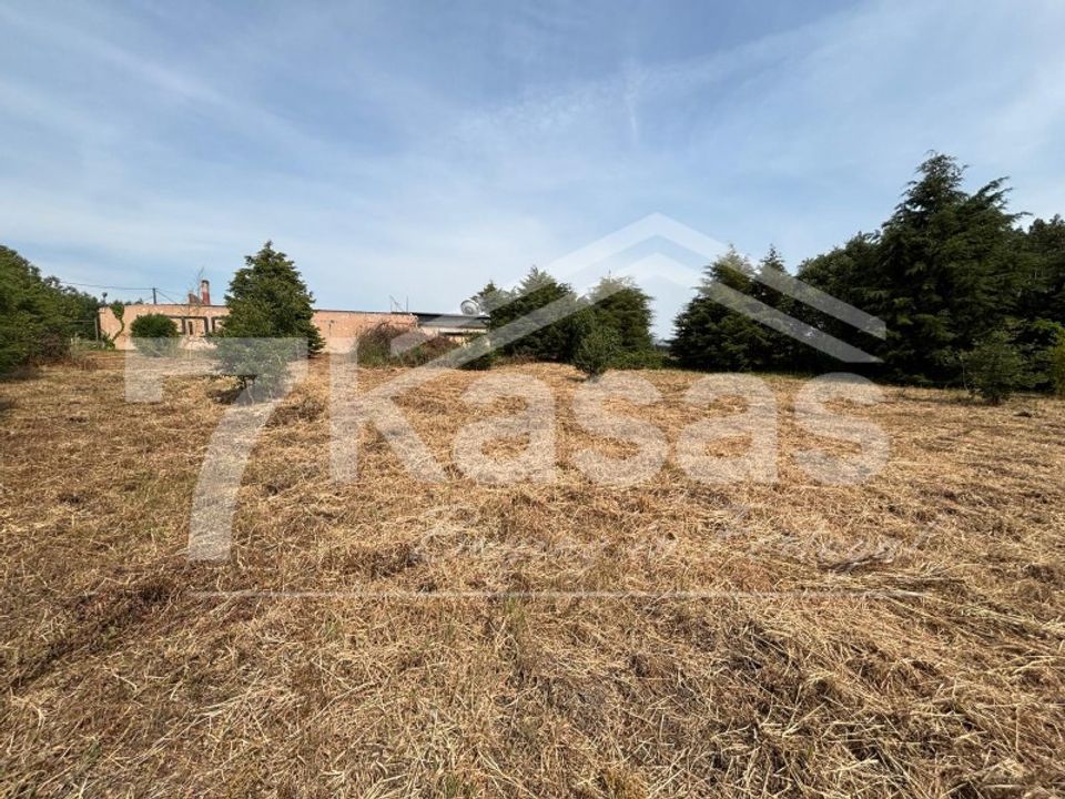 Farm i Bombarral, Leiria - foto 3