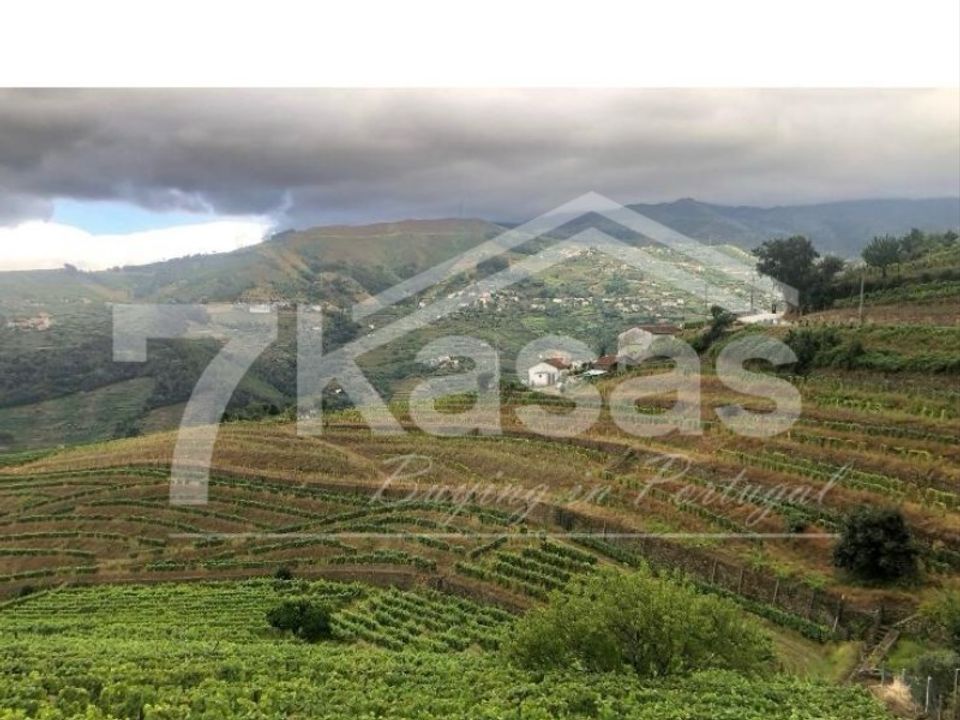 Farm i Peso da Regua, Vila Real - foto 1