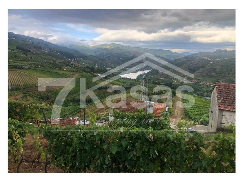 Farm i Peso da Regua, Vila Real - foto 5