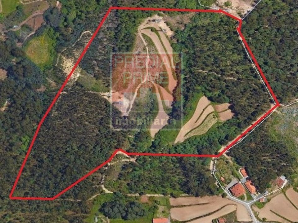 Terra a Vila de Cucujaes, Aveiro - foto 1