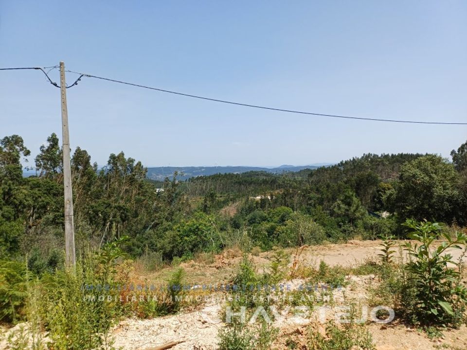 Masia a Alvaiazere, Leiria - foto 5