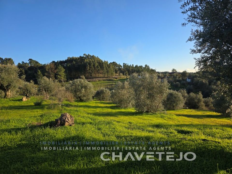 Terra em Abrantes, Santarem - foto 2