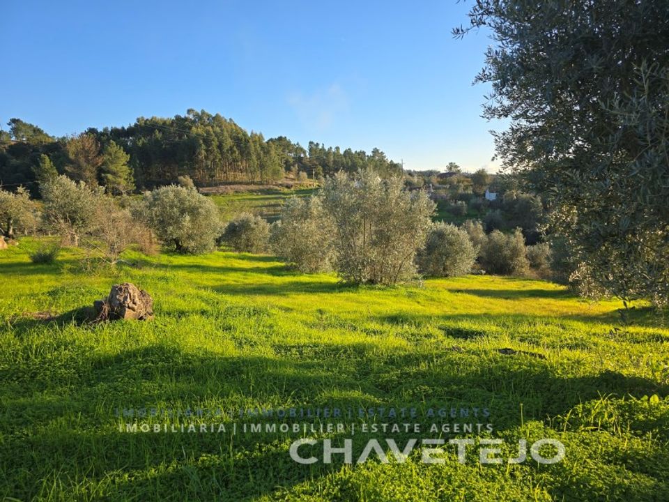 Terra em Abrantes, Santarem - foto 3