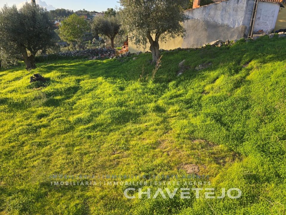 Terra em Abrantes, Santarem - foto 4