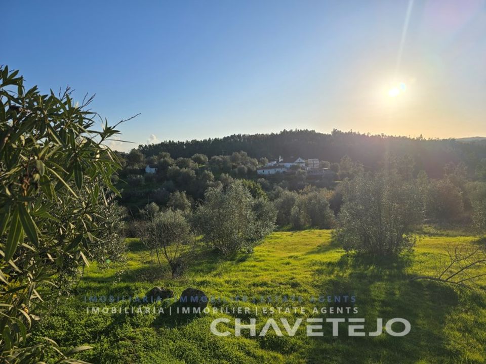 Terra em Abrantes, Santarem - foto 5